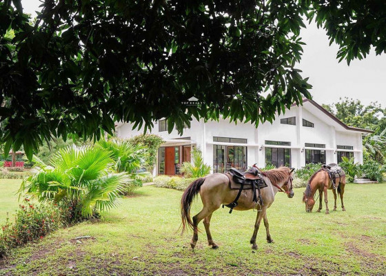 Income-generating Farm House for Sale in Batangas!