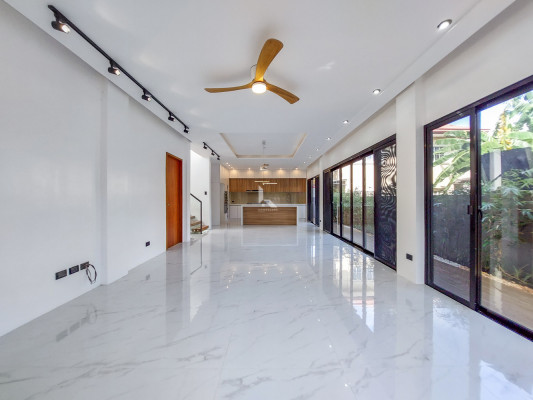 Brand New 2 Storey Modern Home for Sale in Las Piñas