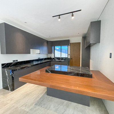 Superb Modern Industrial House with Swimming Pool For Sale in BF Homes,