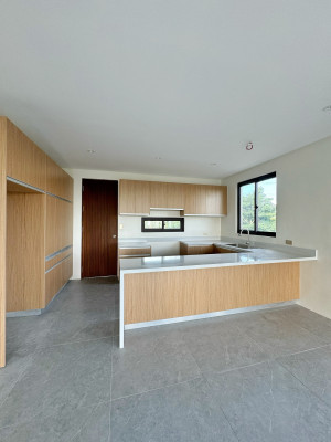 Brand New Modern House and Lot for Sale