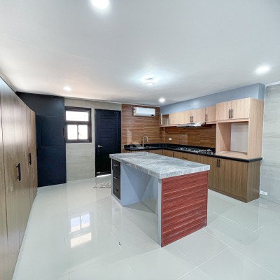Sophisticated Newly Renovated House and Lot For Sale