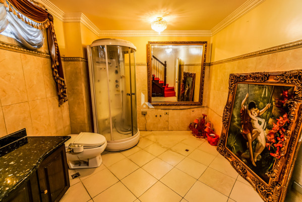 Royalty Victorian Mansion for sale evoking a sense of utter fantastical luxury