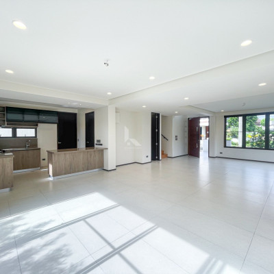Elegant Modern House and Lot For Sale in Verdana Homes