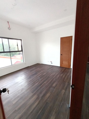 A BRAND NEW MODERN HOUSE AND LOT FOR SALE IN BF HOMES PARAÑAQUE