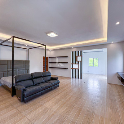 Vast Modern Contemporary House and Lot For Sale