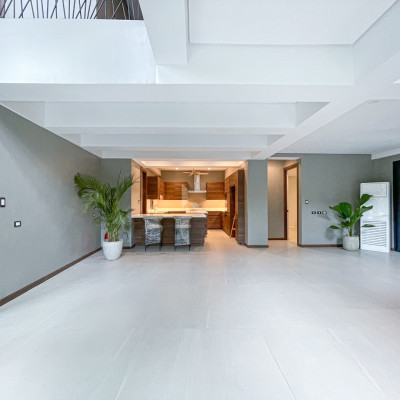 Luxurious Modern Tropical House and Lot For Sale in Merville Park
