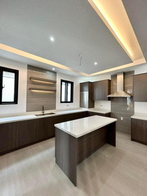 A Brand New Modern Masterpiece for Sale in BF Homes, Parañaque