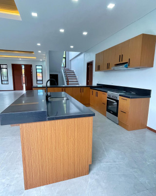 Brand New Modern Contemporary House for Sale in Fairview Quezon City
