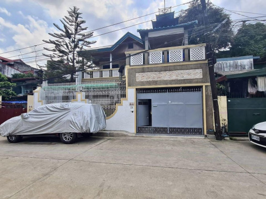 Newly Renovated Big House at Roxas District Quezon City