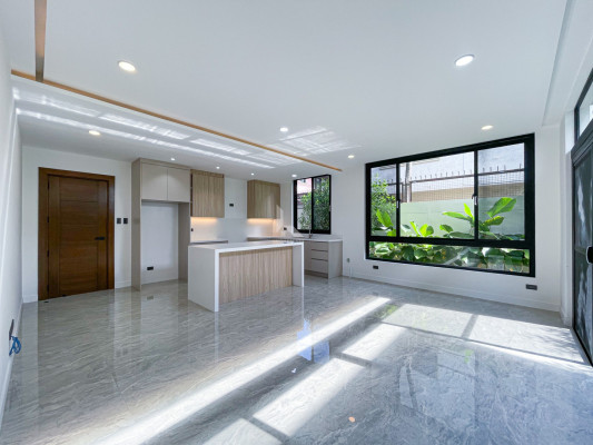 Superb Modern Contemporary House and Lot For Sale in BF Homes