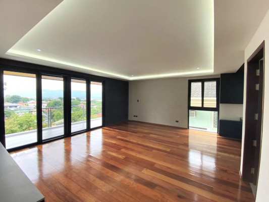 The Black Nest of Ayala Heights