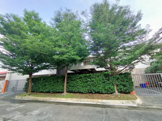 Massive 2 Storey House Hiding on a Trees