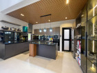 Sophisticated Fully Furnished Vast Modern Asian House and Lot For Sale