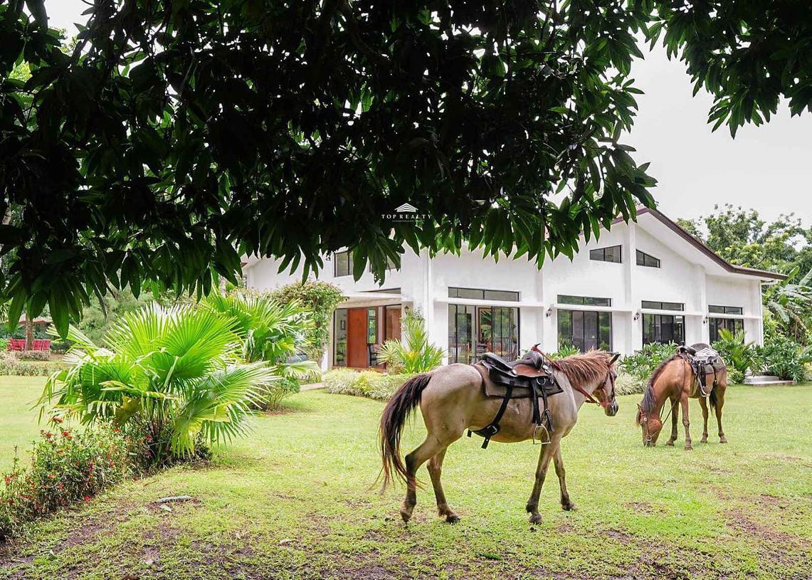 Income-generating Farm House for Sale in Batangas! photo 2