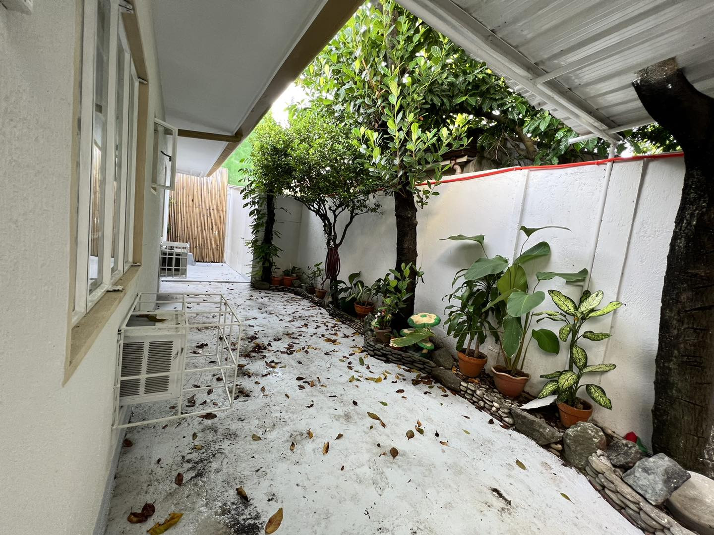 NEWLY RENOVATED BUNGALOW HOUSE AND LOT photo 4
