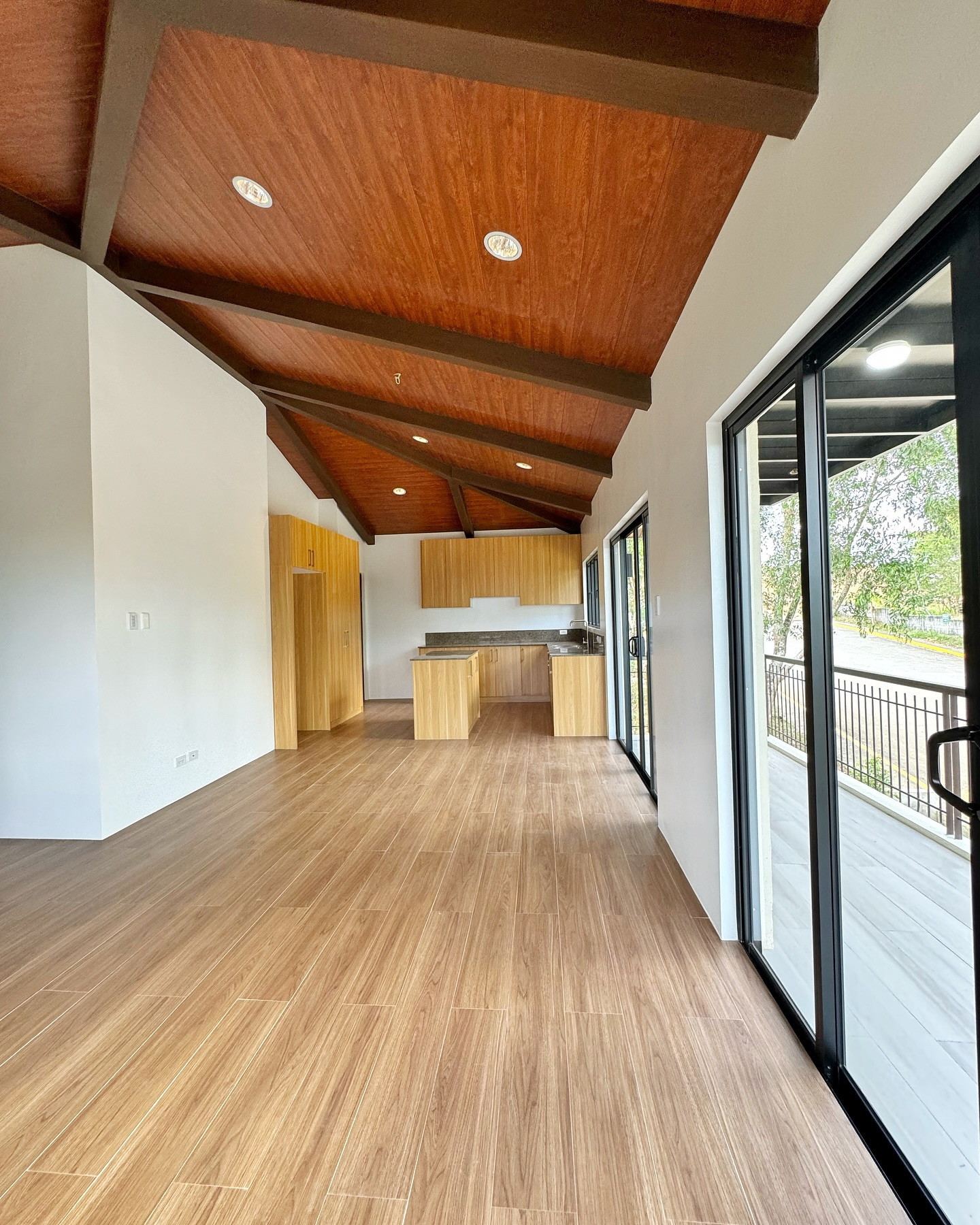 Brand New Modern House and Lot for Sale in The Perch photo 3
