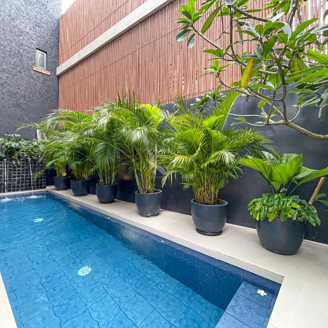 Luxurious Modern Tropical House and Lot For Sale in Merville Park photo 2