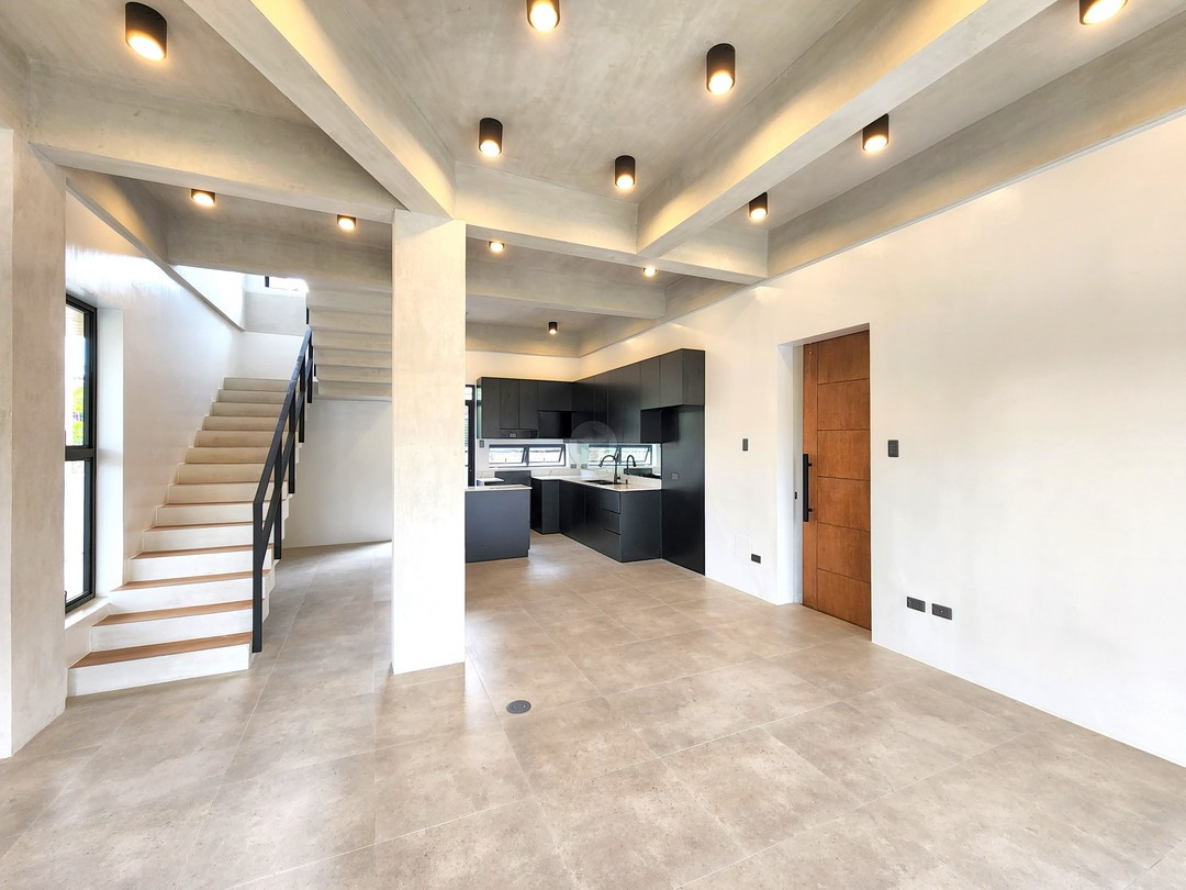 Awesome Lavish House and Lot For Sale photo 4