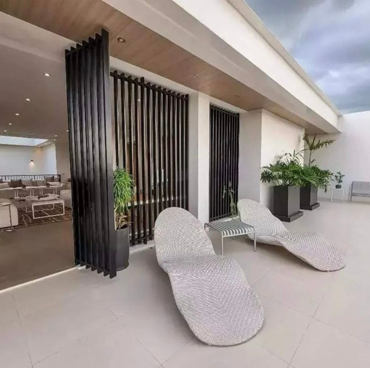 Brutalist Modern Villa House inspired for Sale in Southern Plains photo 3