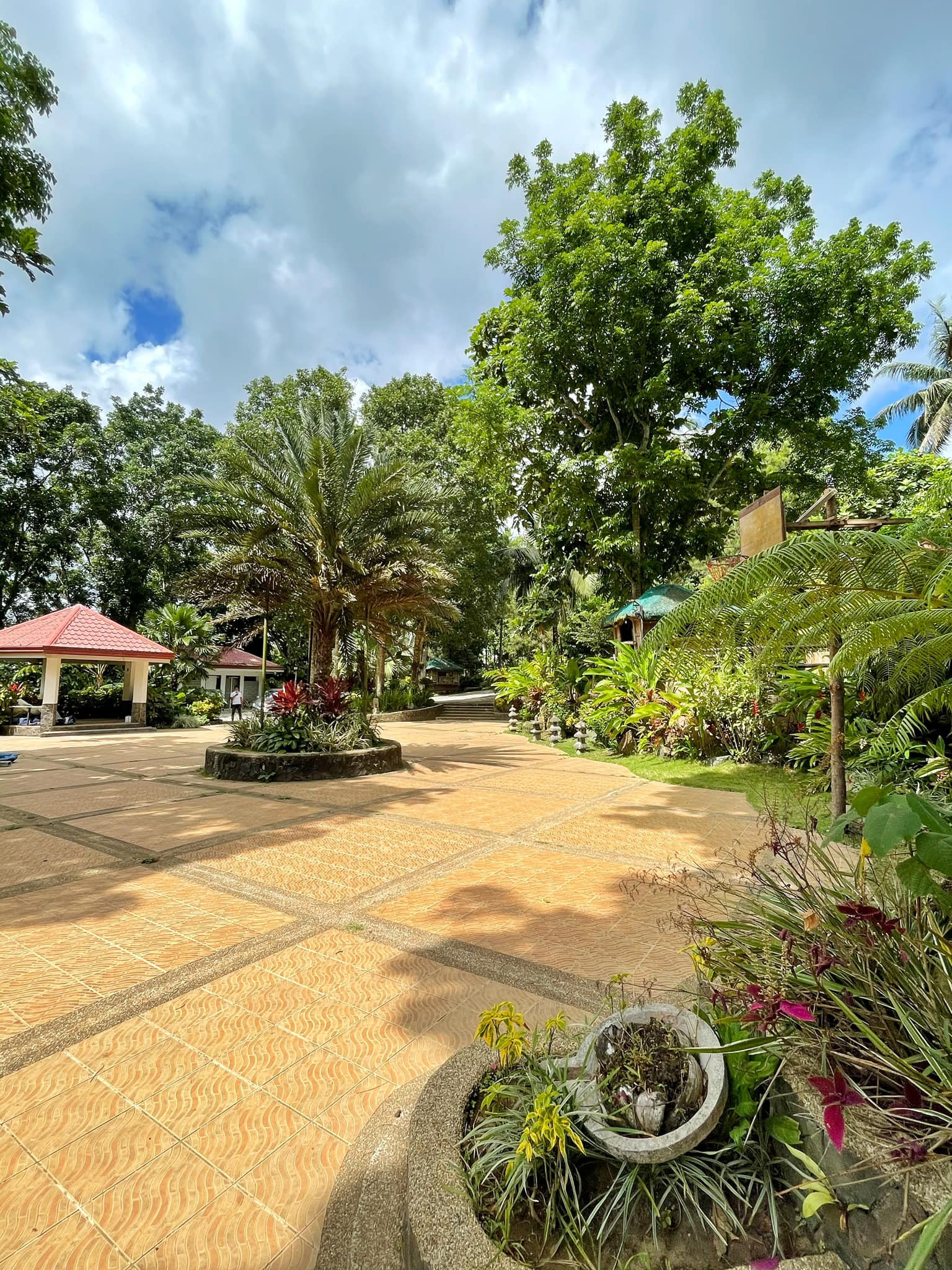 1.2 Hectares Farm House and Events Venue for Sale in Silang Cavite photo 3