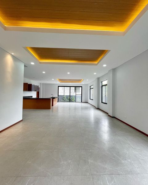 Brand New Modern Contemporary House for Sale in Fairview Quezon City photo 4
