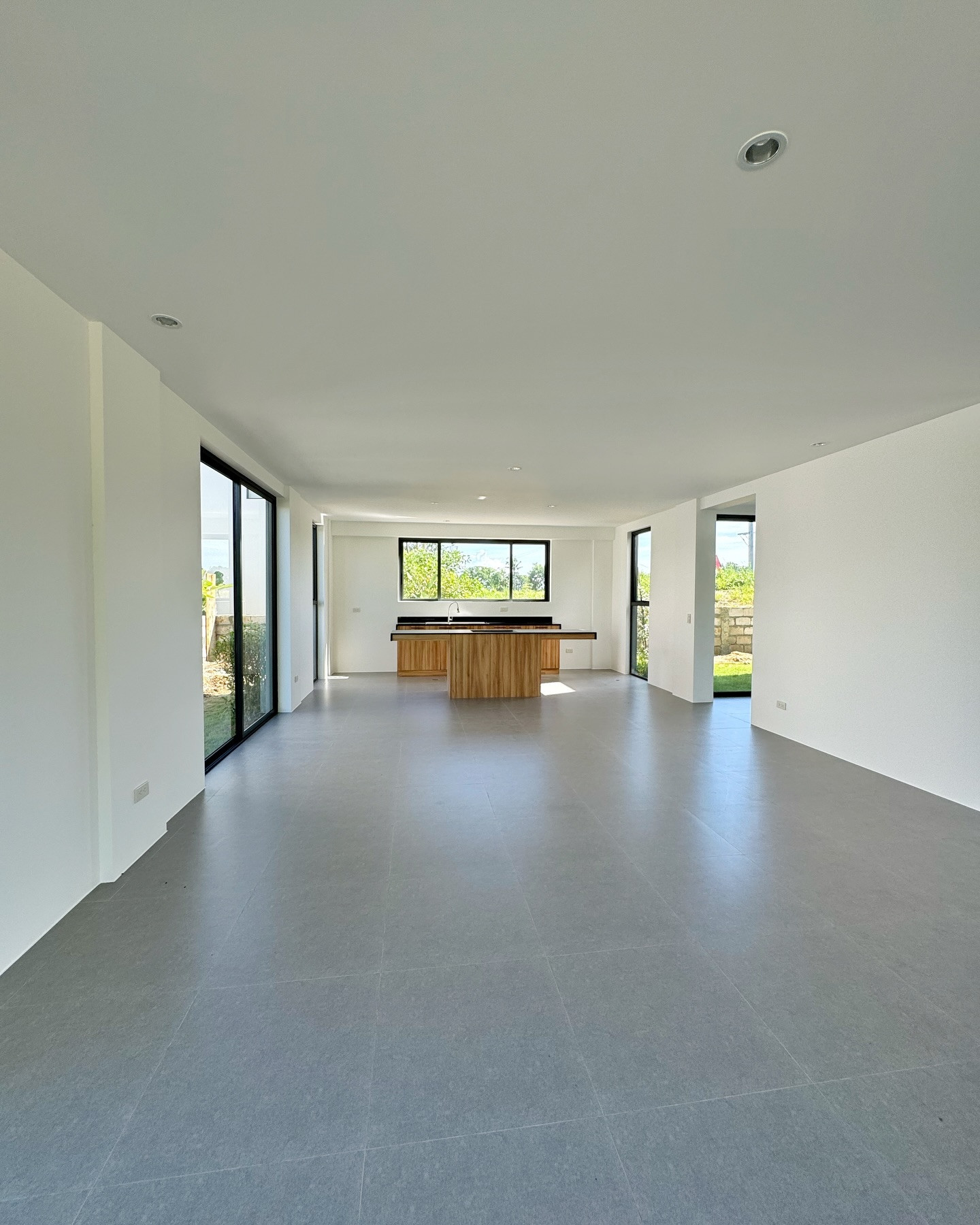 Brand New Modern House and Lot for Sale in The Perch, Sun Valley photo 3