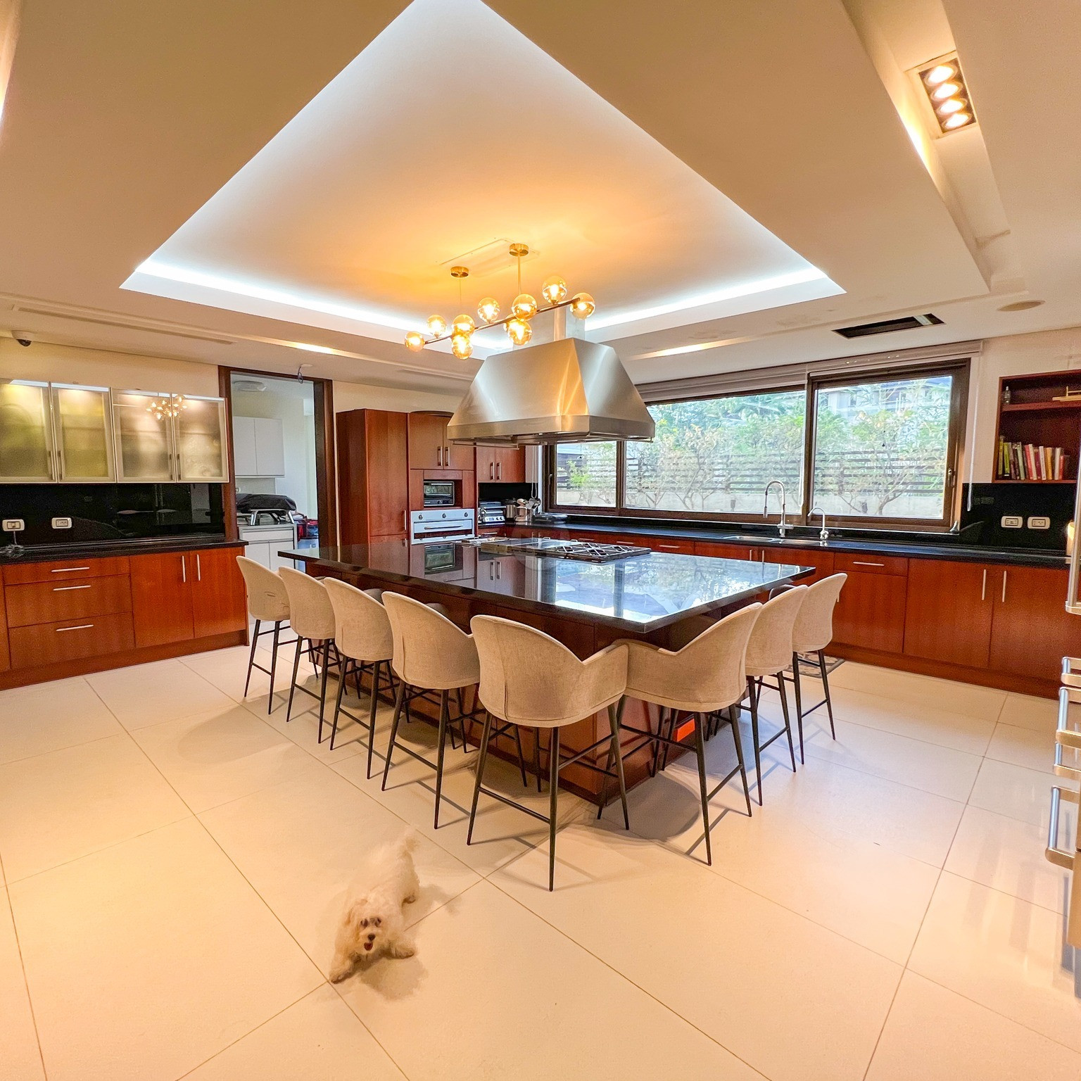 The Adamantite - Timeless Futuristic Mansion for Sale in Ayala Heights photo 4
