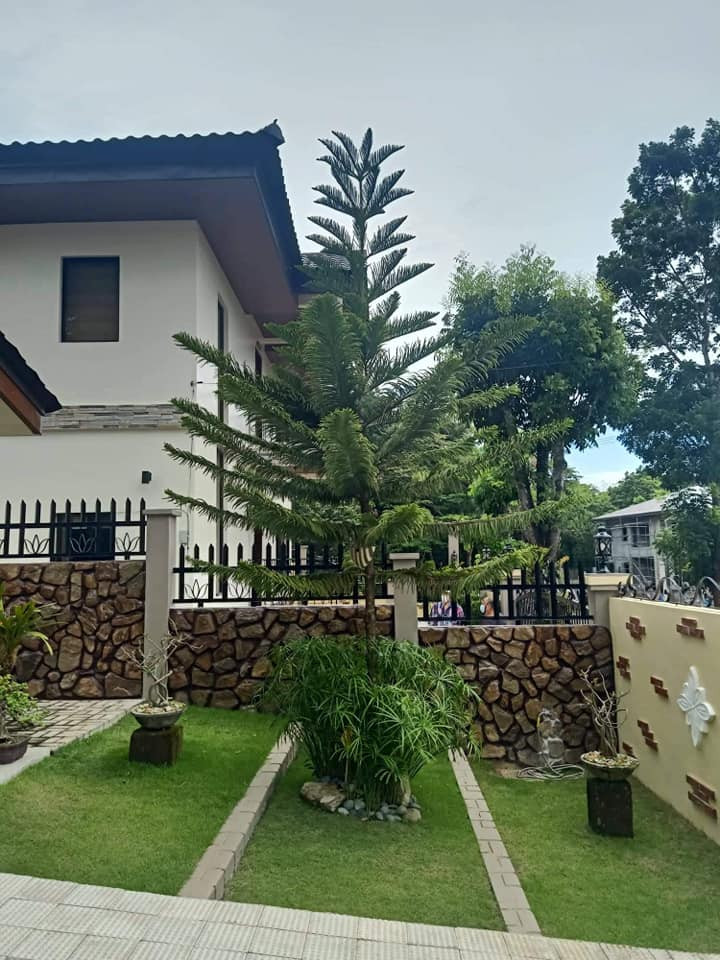 House and lot in Antipolo City photo 2
