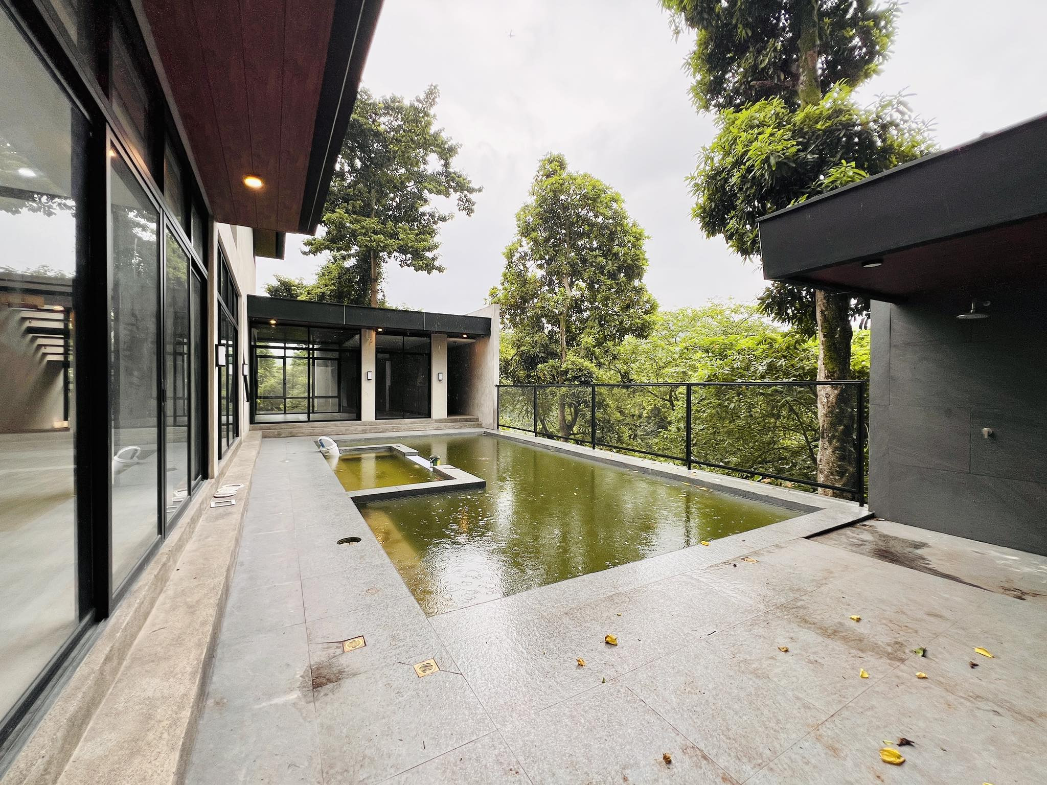 Uncover this Contemporary Brand-New House in BF Homes photo 3